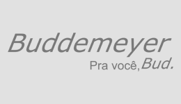 ouro - BUD.png